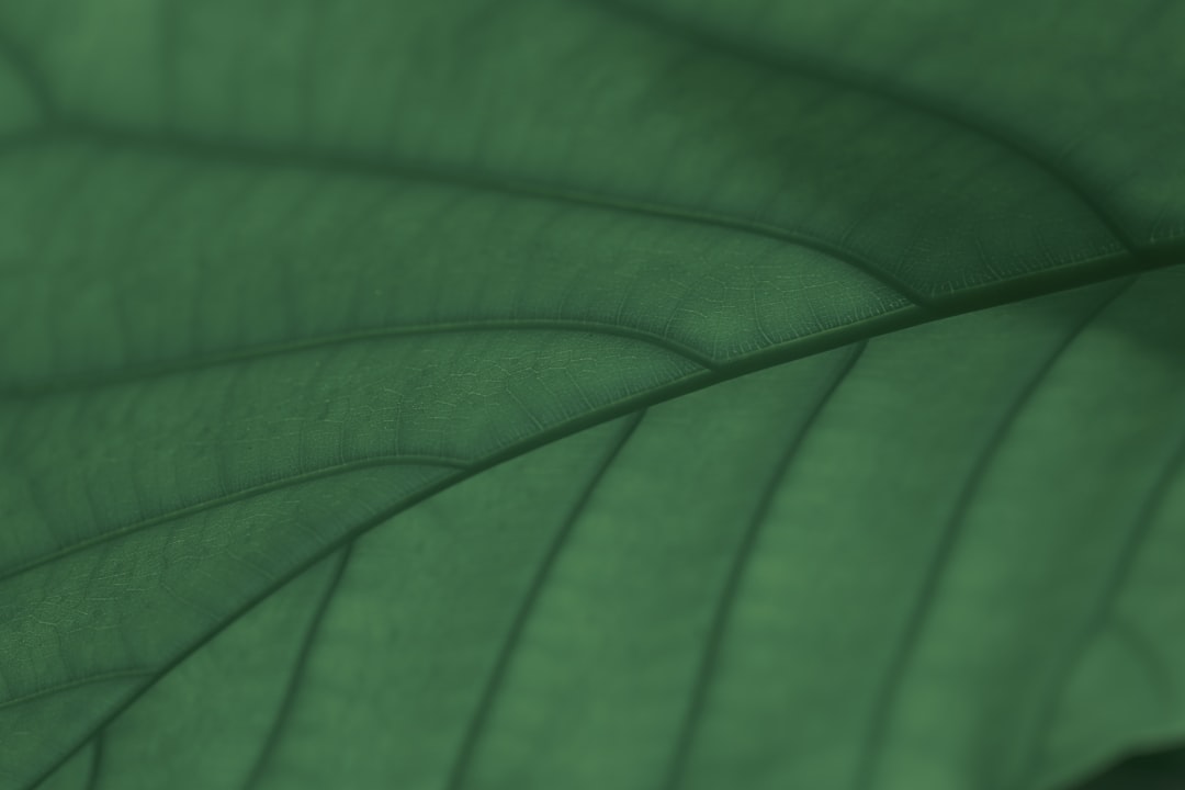 具体的な社内のAI導入事例最新ニュース2025年07月16日 (unsplash)