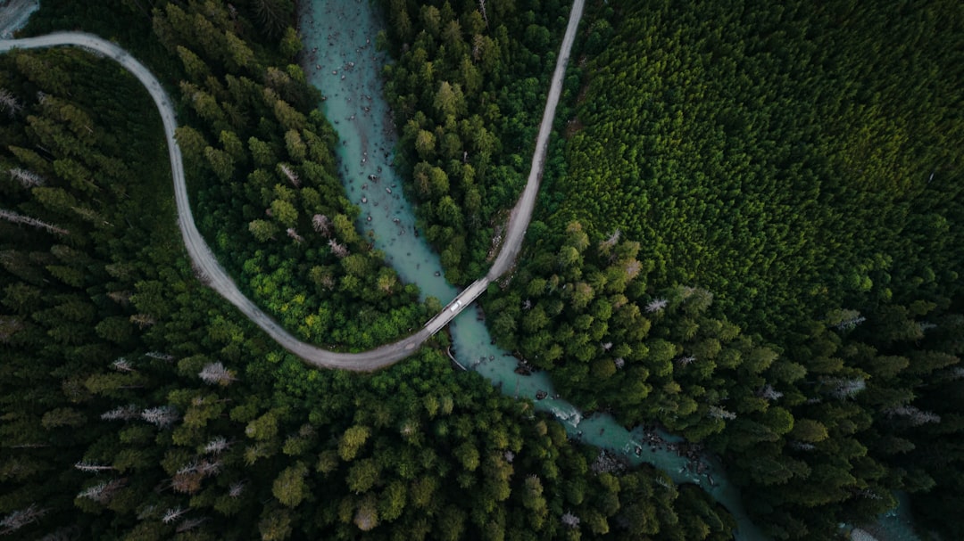 1. バイブコーディングが変える未来!AIとの協調で開発はどう進化する? (unsplash)