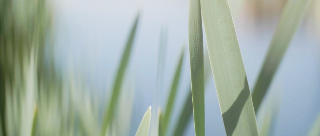 Vibe Coding最新ニュース2025年08月18日 (unsplash)