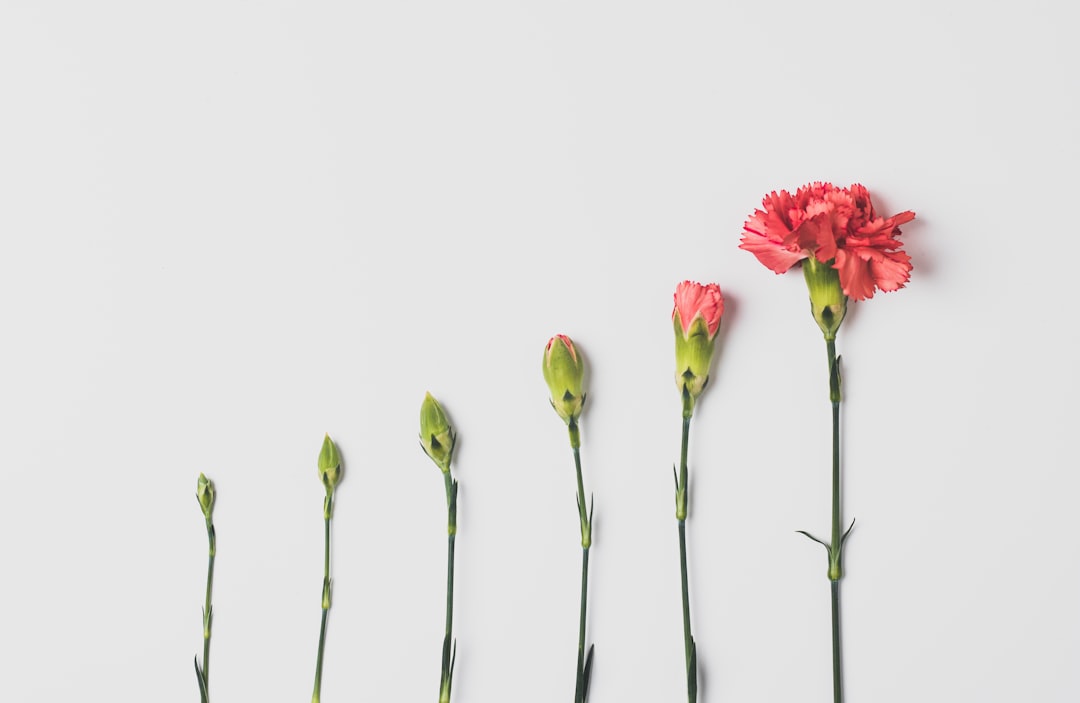 Vibe Coding最新ニュース2025年08月26日 (unsplash)