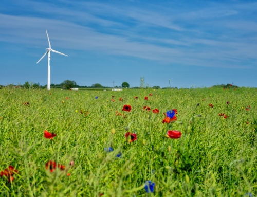 AIO最新ニュース2025年11月08日