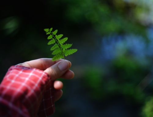 AIO最新ニュース2025年12月07日