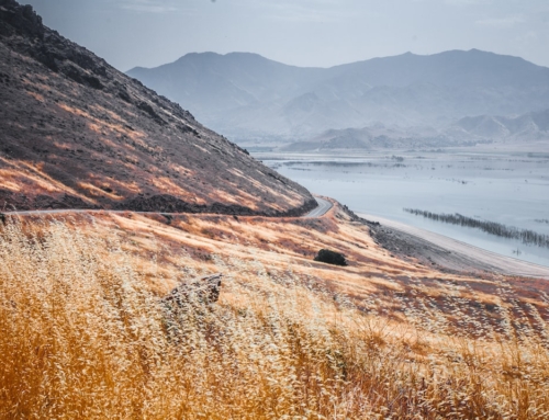 Claude Code最新ニュース2026年03月09日