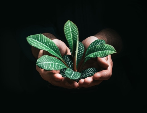 Claude Code最新ニュース2026年03月19日